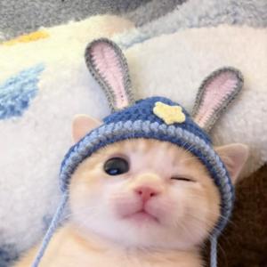 Yuki