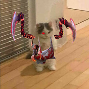 zqwwd_2